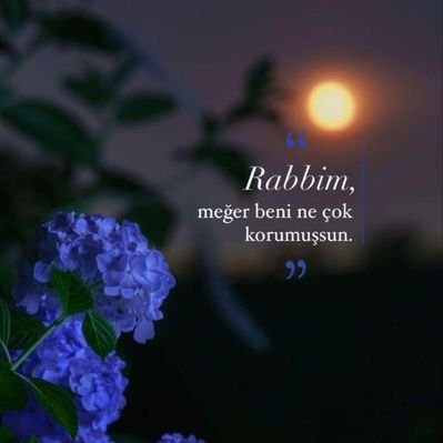 Aşk-ı Vuslat&Derûn Sevda🇹🇷🌱🇵🇸's profile picture