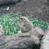だいちゃん profil fotoğrafı