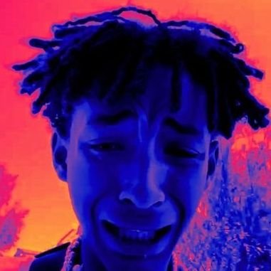 Taco's profile picture