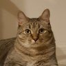 Profilbild von Oliver