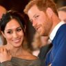 TennisF1 'Royal Expert' 😉's profile picture