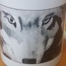 hard fox 的头像
