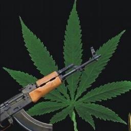 El Diario Del Narco's profile picture