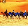 عواطف رحاله🌹's profile picture