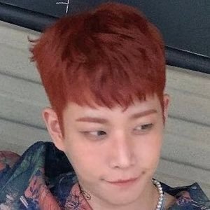 ᴍᴊ둥둥's profile picture