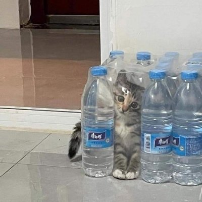 sk1per_r6's profile picture