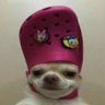Profilbild von milanbucafv