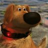 Profilbild von Argon Eduardo