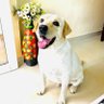 Abhiii's profile picture