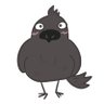 アルトゥル🐦⬛@カラス's profile picture
