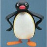 Profilbild von Pingu ✟ 🏴 ✠