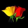 Gamsheed Oglu's profile picture