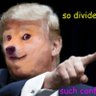 Donald Doge profil fotoğrafı