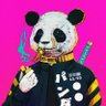 Profilbild von Brad Gocoul