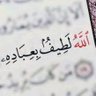عبير profil fotoğrafı