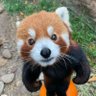 もふもふ🐾🫶 profil fotoğrafı
