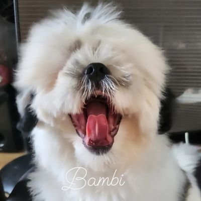 naked_bbh's profile picture