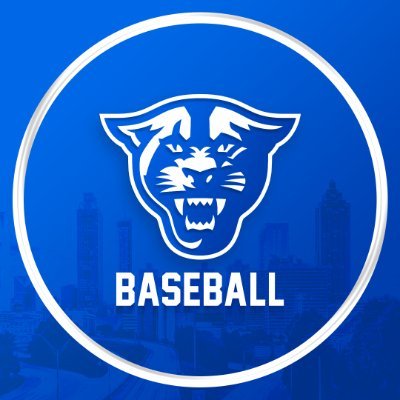 GSU Baseball's profile picture
