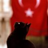 Profilbild von Vatan