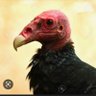 Tyler profil fotoğrafı