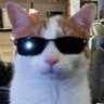 pupusa de loroco's profile picture