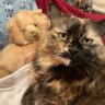 Sophie profil fotoğrafı