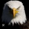 Breno Neto's profile picture