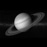 Saturnaliaaa 的头像