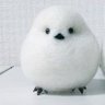 緑ゆたか's profile picture
