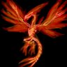 骨の鳳凰F.スケ(本物)'s profile picture