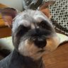 ちーぼー's profile picture
