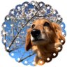 じょみち profil fotoğrafı