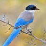 Фото профиля Jonathan Wayne 🐦