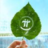 Фото профиля الختيار pi network🇯🇴