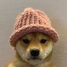 Dixi 🌼's profile picture