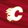 FlamesWinPls.Thx🔥's profile picture