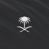 عبدالملك الأول 🇸🇦 的头像