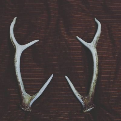 kuzihalua's profile picture