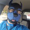 Draco Warclaw's profile picture