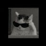 Profilbild von Charis Simon