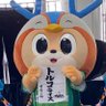 💙たんちゃ🐥🧡 profil fotoğrafı