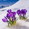 Фото профиля بهاران