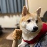 ポン太 profil fotoğrafı