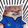 nordicurse's profile picture