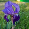 Silvia Hernández profil fotoğrafı