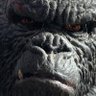 Mr.グルタミン's profile picture