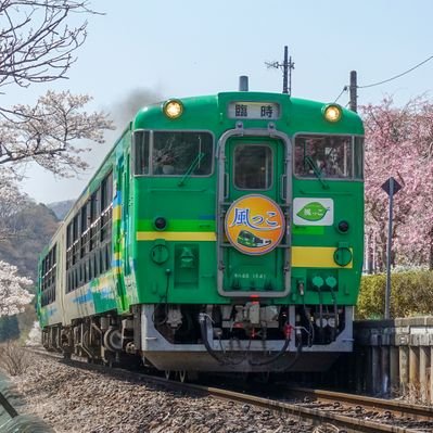 Rainbow__Train's profile picture