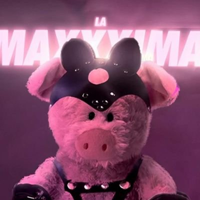 maxxxavila's profile picture