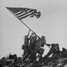 Profilbild von America First Conservative