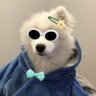 ω ωσяωσя's profile picture